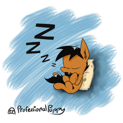 Size: 2000x2000 | Tagged: safe, artist:professionalpuppy, oc, oc only, oc:puppy, earth pony, pony, breaking the fourth wall, eyes closed, high res, male, nom, onomatopoeia, pillow, simple background, sleeping, solo, sound effects, stallion, transparent background, zzz