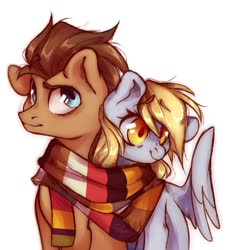 Size: 999x1080 | Tagged: safe, artist:angrygem, derpy hooves, doctor whooves, time turner, earth pony, pegasus, pony, g4, clothes, cute, female, male, mare, scarf, shared clothing, shared scarf, ship:doctorderpy, shipping, simple background, smiling, stallion, straight, white background