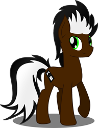 Size: 1435x1872 | Tagged: safe, artist:soulakai41, oc, oc only, earth pony, pony, male, simple background, solo, stallion, transparent background