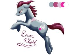 Size: 2828x2121 | Tagged: safe, artist:dreamyartcosplay, oc, oc only, oc:brave flight, earth pony, pony, earth pony oc, high res, male, rearing, reference sheet, scar, simple background, solo, stallion, text, transparent background