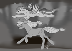 Size: 2912x2059 | Tagged: safe, artist:dreamyartcosplay, applejack, rainbow dash, earth pony, pegasus, pony, g4, duo, female, flying, freckles, grayscale, grin, hat, high res, inktober 2016, mare, monochrome, racing, running, smiling