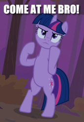 Size: 392x572 | Tagged: safe, edit, edited screencap, screencap, twilight sparkle, pony, unicorn, dragon quest, g4, adorkable, bipedal, caption, come at me bro, cropped, cute, dork, image macro, raised hooves, solo, text, unicorn twilight