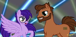 Size: 920x454 | Tagged: safe, artist:igglypou, oc, oc only, earth pony, pegasus, pony, beard, cutie mark, digital art, facial hair, female, glasses, looking at each other, male, mare, oc x oc, shipping, spread wings, stallion, tail, wings