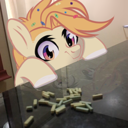 Size: 640x640 | Tagged: safe, artist:shiny-dust, oc, oc only, pony, irl, photo, ponies in real life, solo