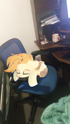 Size: 900x1600 | Tagged: safe, artist:shiny-dust, oc, oc only, pony, chair, eyes closed, irl, photo, ponies in real life, sleeping, solo