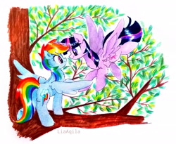 Size: 2685x2198 | Tagged: safe, artist:liaaqila, rainbow dash, twilight sparkle, alicorn, pegasus, pony, g4, duo, duo female, female, high res, leaves, lesbian, looking at each other, looking at someone, mare, marker drawing, ship:twidash, shipping, traditional art, tree, tree branch, twilight sparkle (alicorn)