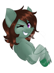 Size: 1080x1440 | Tagged: safe, artist:silentwolf-oficial, oc, oc only, earth pony, pony, bust, earth pony oc, grin, one eye closed, signature, simple background, smiling, solo, transparent background, unshorn fetlocks, watermark, wink