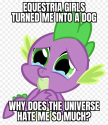 Size: 840x970 | Tagged: safe, spike, equestria girls, g4, abuse, alpha channel, caption, crying, go to sleep garble, i can't believe it's not useraccount, image macro, male, meme, op is a duck, op is trying to start shit, sad, shitposting, solo, spikeposting, text, truth