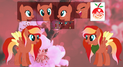 Size: 1024x558 | Tagged: safe, artist:cobaltthefox, artist:selenaede, artist:spiritualpresence, oc, oc only, oc:peach blossom, pegasus, pony, base used, colored wings, cutie mark, female, flower, freckles, mare, neckerchief, offspring, parent:big macintosh, parent:fluttershy, parents:fluttermac, pegasus oc, reference sheet, solo, wings