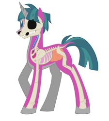 Size: 900x1000 | Tagged: safe, artist:enigmadoodles, stygian, pony, unicorn, g4, concave belly, dissectibles, male, organs, simple background, solo, stallion, white background