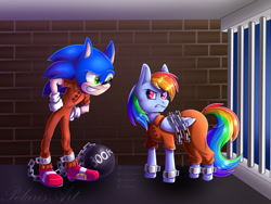 Size: 1280x960 | Tagged: safe, artist:polarisart, rainbow dash, hedgehog, pegasus, pony, g4, bound wings, chains, clothes, cuffs, duo, jail, male, prison, prison outfit, prisoner rd, sonic the hedgehog, sonic the hedgehog (series), sonic vs rainbow dash, wings