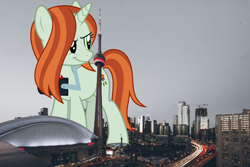 Size: 2400x1600 | Tagged: safe, artist:luckreza8, edit, editor:jaredking779, crackle cosette, queen chrysalis, pony, unicorn, g4, camera, canada, cn tower, disguise, disguised changeling, female, giant crackle cosette, giant pony, giant unicorn, giantess, highrise ponies, macro, mare, mega giant, photo, ponies in real life, toronto