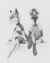 Size: 2796x3516 | Tagged: safe, artist:joestick, oc, oc:arcalia, oc:kass, earth pony, pony, blank flank, clothes, coat markings, duo, female, grayscale, high res, male, mare, monochrome, pinto, siblings, socks, socks (coat markings), stallion, text, traditional art