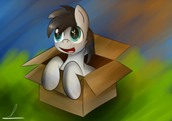 Size: 3100x2200 | Tagged: safe, artist:almaustral, oc, oc only, earth pony, pony, box, earth pony oc, eye reflection, high res, open mouth, pony in a box, reflection, signature, smiling, solo