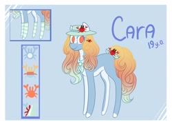 Size: 1280x967 | Tagged: safe, artist:nutti-frien, oc, oc only, oc:cara, earth pony, pony, clothes, earth pony oc, hat, reference sheet, socks, striped socks