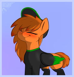 Size: 2000x2100 | Tagged: safe, artist:phlerius, oc, oc only, pegasus, pony, clothes, eyes closed, hat, high res, smiling, socks, solo, tracksuit