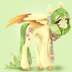 Size: 1434x1427 | Tagged: safe, artist:pastelperyton, fluttershy, pegasus, pony, g4, clothes, female, flower, flower in hair, gradient background, mare, redesign, scarf, solo
