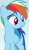 Size: 311x534 | Tagged: safe, screencap, rainbow dash, pegasus, pony, common ground, g4, cropped, female, mare, solo