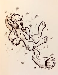 Size: 1580x2046 | Tagged: safe, artist:docwario, applejack, earth pony, pony, g4, apple, cute, food, jackabetes, jacktober, lying down, on back, pen drawing, solo, traditional art