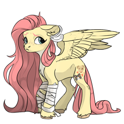 Size: 1024x1024 | Tagged: artist needed, source needed, safe, alternate version, fluttershy, pegasus, pony, g4, alternate cutie mark, alternate design, bandage, cute, feather, freckles, pale belly, shyabetes, simple background, solo, transparent background