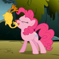 Size: 1080x1080 | Tagged: safe, screencap, pinkie pie, pony, dragonshy, g4, cropped, cute, diapinkes, eyes closed, female, mare, rubber chicken, solo