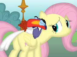 Size: 3548x2642 | Tagged: safe, artist:porygon2z, fluttershy, bird, hornbill, pegasus, pony, g4, butt, cute, disney, duo, duo male and female, female, high res, male, mare, plot, shyabetes, smiling, the lion king, zazu