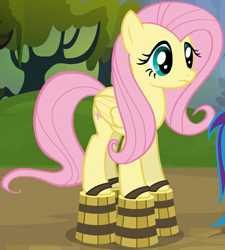 Size: 394x438 | Tagged: safe, screencap, fluttershy, pegasus, pony, g4, spike at your service, cropped, female, mare