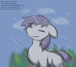 Size: 2247x1998 | Tagged: safe, artist:phlerius, oc, oc only, pony, digital art, forest, forest background, gray, humidity, rain, solo