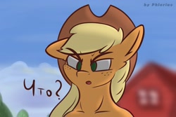 Size: 2560x1707 | Tagged: safe, artist:phlerius, applejack, pony, g4, cyrillic, digital art, farm, perplexed, reaction image, russian, solo, translated in the description, wat (reaction image)