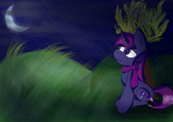 Size: 3100x2200 | Tagged: safe, artist:almaustral, oc, oc only, pony, clothes, crescent moon, full moon, grass, high res, moon, night, scarf, solo, tree