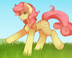 Size: 2520x2020 | Tagged: safe, artist:jackselit, gala appleby, earth pony, pony, g4, apple family member, background pony, high res, looking at you, smiling, solo