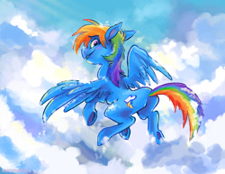 Size: 1290x997 | Tagged: safe, artist:spainfischer, rainbow dash, pegasus, pony, g4, butt, cloud, female, flying, looking at you, looking back, looking back at you, mare, plot, rainbutt dash, sky, sky background, solo, spread wings, wings