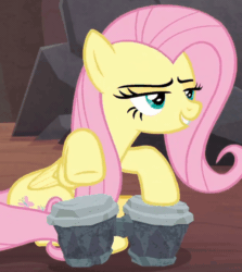 Size: 844x946 | Tagged: safe, edit, edited screencap, editor:maonyman, screencap, fluttershy, pony, g4, sweet and smoky, animated, bongos, drums, musical instrument, solo