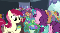 Size: 1280x720 | Tagged: safe, screencap, roseluck, sugar belle, earth pony, pony, unicorn, g4, the big mac question, bag, bits, butt, coin, female, flower, mare, plot, saddle bag