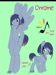 Size: 768x1024 | Tagged: safe, artist:lolitablue, oc, oc only, oc:google chrome, pegasus, pony, semi-anthro, arm hooves, base used, browser ponies, duo, female, google chrome, mare, pegasus oc, reference sheet, signature, smiling, wings