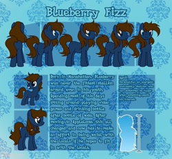 Size: 1280x1184 | Tagged: safe, artist:paradiseskeletons, oc, oc only, oc:blueberry fizz, earth pony, pony, female, filly, male, reference sheet, solo, stallion, text