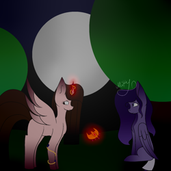 Size: 1400x1400 | Tagged: safe, artist:thecommandermiky, oc, alicorn, pegasus, pony, alicorn oc, forest, horn, moon, old art, pegasus oc, shy, wings
