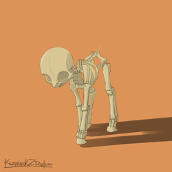 Size: 2615x2620 | Tagged: dead source, safe, artist:kozachokzrotom, pony, anatomy, bone, high res, simple background, skeleton
