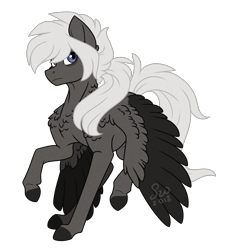 Size: 1424x1536 | Tagged: safe, artist:silentwolf-oficial, oc, oc only, pegasus, pony, chest fluff, colored hooves, pegasus oc, raised hoof, simple background, solo, transparent background, two toned wings, wings