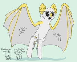 Size: 780x630 | Tagged: source needed, safe, artist:archego-art, oc, oc only, bat pony, honduran white bat