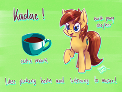 Size: 1600x1200 | Tagged: safe, artist:the-barinade, oc, oc only, oc:kadae, earth pony, pony, cutie mark, looking at you, reference sheet, smiling, smiling at you, solo