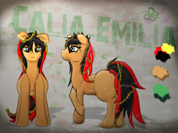 Size: 5349x4000 | Tagged: safe, artist:unknown artist, oc, oc:calia-emilia, earth pony, pony, female, reference sheet