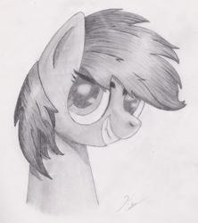 Size: 1399x1573 | Tagged: safe, artist:harleneap, rainbow dash, pegasus, pony, g4, bust, monochrome, pencil drawing, portrait, solo, traditional art