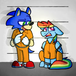Size: 1280x1280 | Tagged: safe, artist:necro-hamster, rainbow dash, g4, bound wings, chains, clothes, crossover, cuffs, jail, jumpsuit, male, police lineup, prison, prison outfit, prisoner rd, sonic the hedgehog, sonic the hedgehog (series), wings