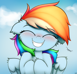 Size: 2500x2400 | Tagged: safe, artist:heavymetalbronyyeah, rainbow dash, pegasus, pony, blushing, cheek fluff, chest fluff, cute, dashabetes, ear fluff, eyes closed, female, floppy ears, grin, happy, leg fluff, mare, shoulder fluff, sky, smiling, smiling at you, solo, squee, weapons-grade cute, wing fluff, wings