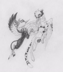 Size: 2518x2854 | Tagged: safe, artist:joestick, oc, oc only, griffon, cute, flying, griffon oc, high res, holding hands, looking at each other, monochrome, spread wings, traditional art, wings