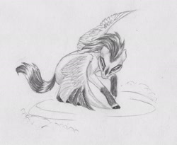 Size: 2464x2021 | Tagged: safe, artist:joestick, oc, pegasus, pony, high res, looking at you, monochrome, pegasus oc, spread wings, traditional art, wings