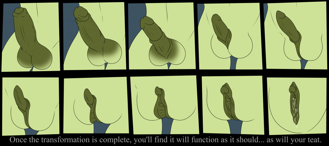 Pussy Transformation Hentai