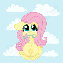 Size: 4000x4000 | Tagged: safe, artist:pink-pone, fluttershy, pegasus, pony, g4, beautiful, bust, cloud, cute, female, floppy ears, flower, flower in mouth, front view, full face view, hooves together, looking at you, mare, mouth hold, portrait, shyabetes, sky background, smiling, smiling at you, solo, wings