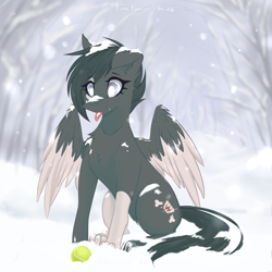 Size: 3000x3000 | Tagged: safe, artist:taleriko, oc, oc only, oc:lacy, dog, dog pony, original species, pegasus, pony, rcf community, ball, commission, cute, female, high res, mare, snow, solo, tennis ball, toes, wings, winter